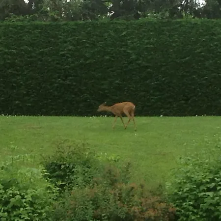 Vulcain 3* LʼHorme